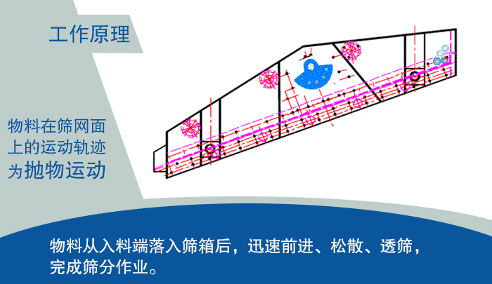 大型蘑菇视频成人网站入口
